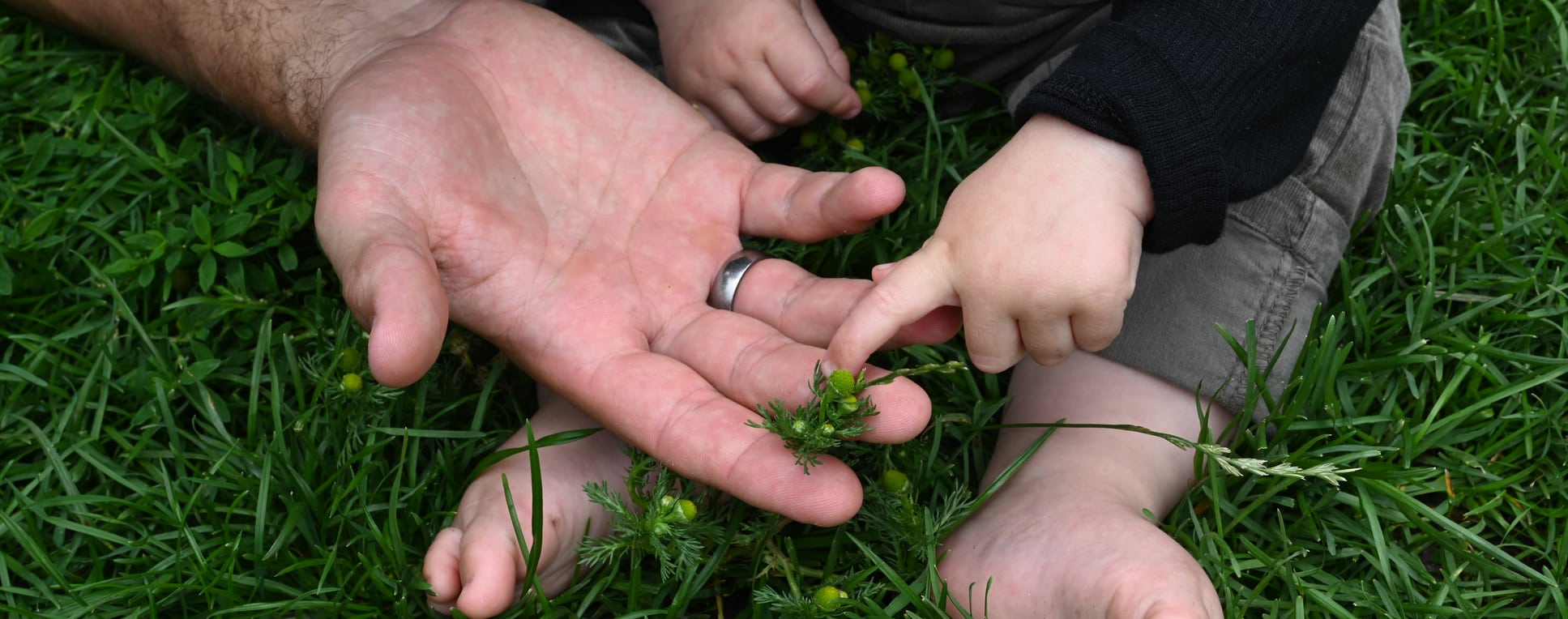 Barn peger på grøn vækst mellem fingrene på en voksenhånd